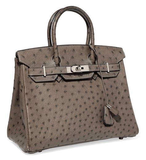 hermes ostrich birkin price